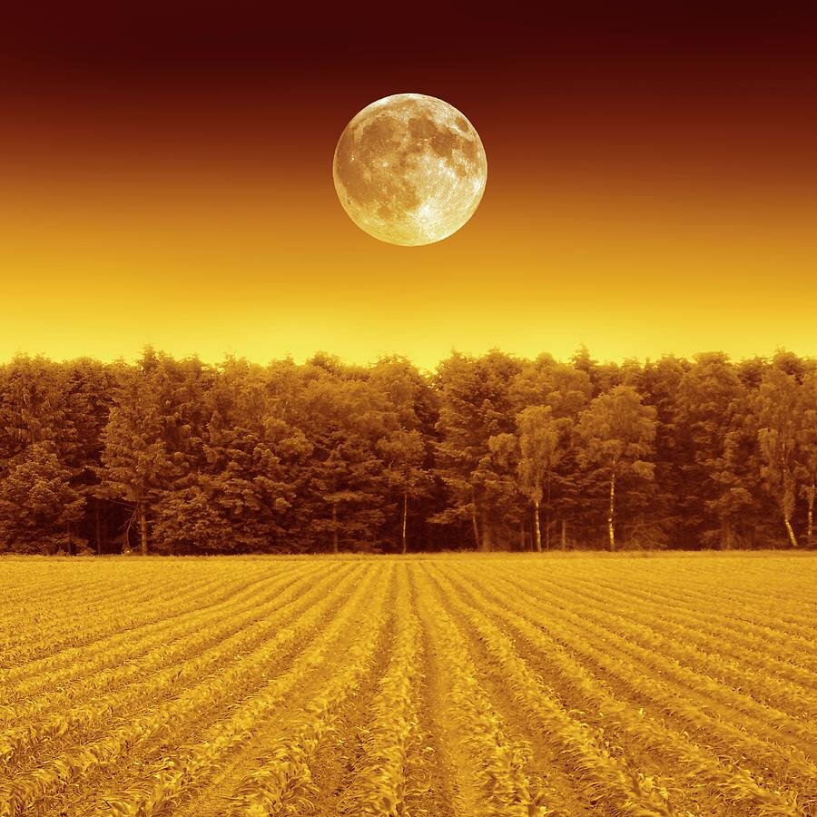 2-full-moon-over-a-field-detlev-van-ravenswaay.jpg