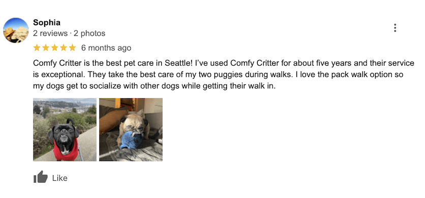 Dog Walking review on Googe for Comfy Critter Seattle