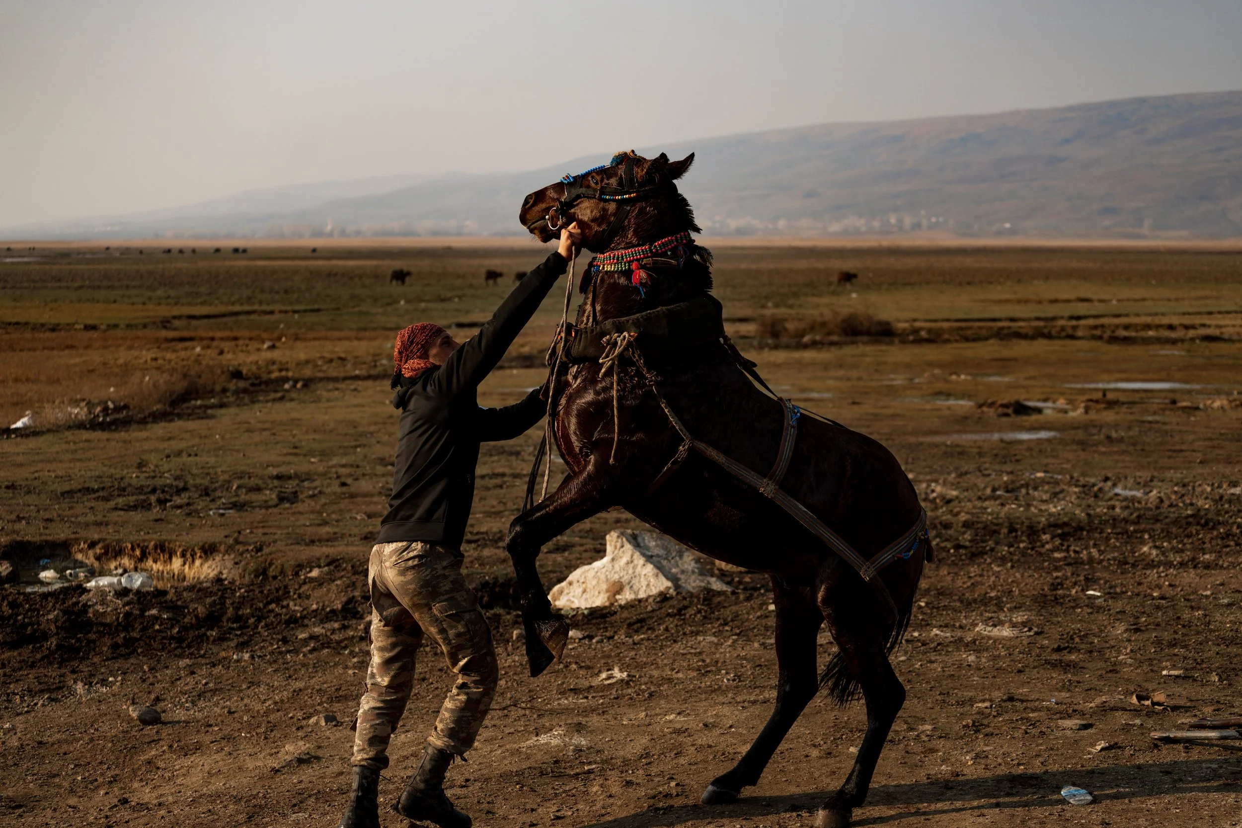 Budakli Germav Tepe kaplica hot spring water buffalo horse photography Bitlis Eastern Anatolia Türkiye Turkey