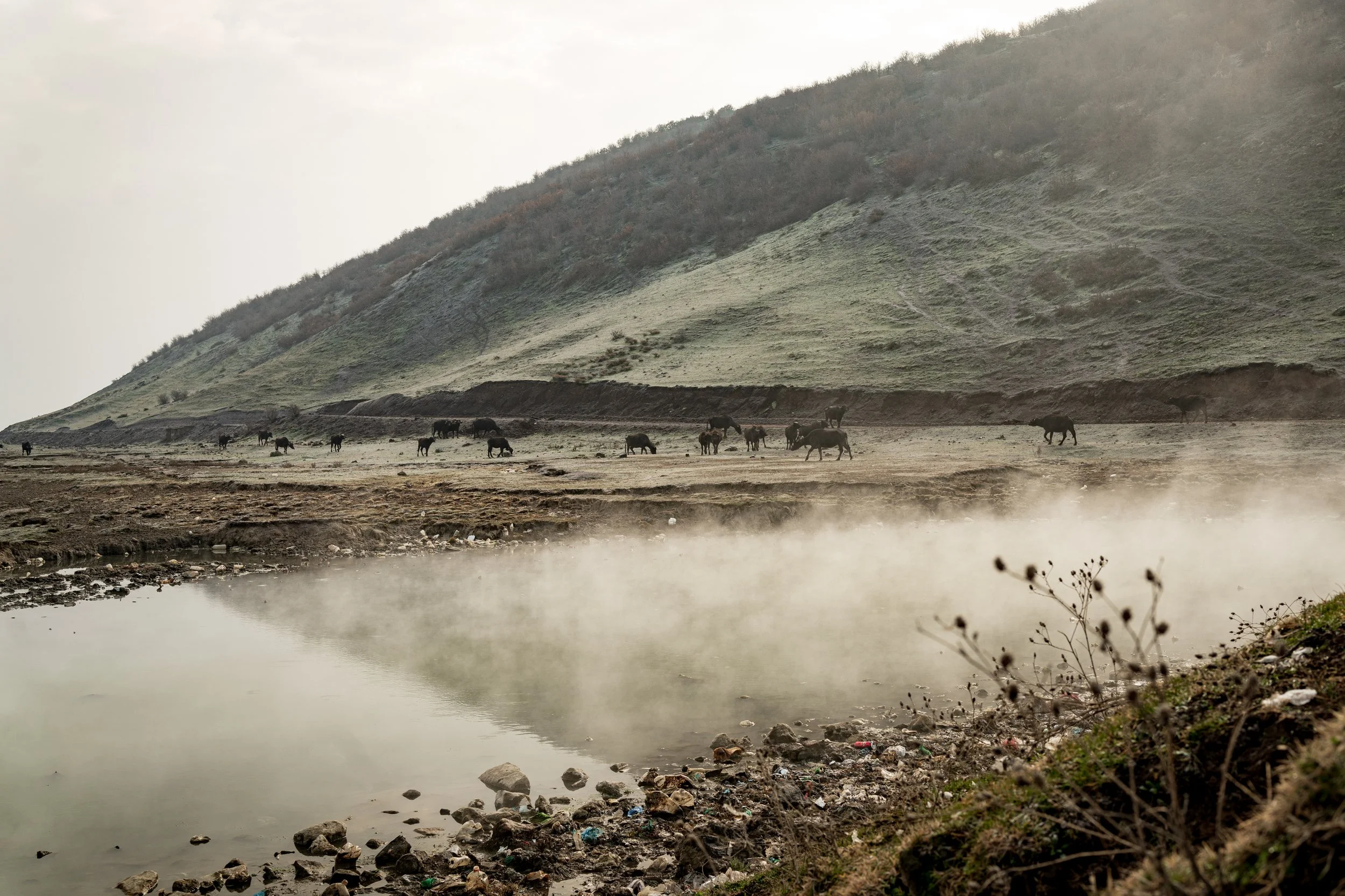 Budakli Germav Tepe kaplica hot spring water buffalo Bitlis Eastern Anatolia Türkiye Turkey