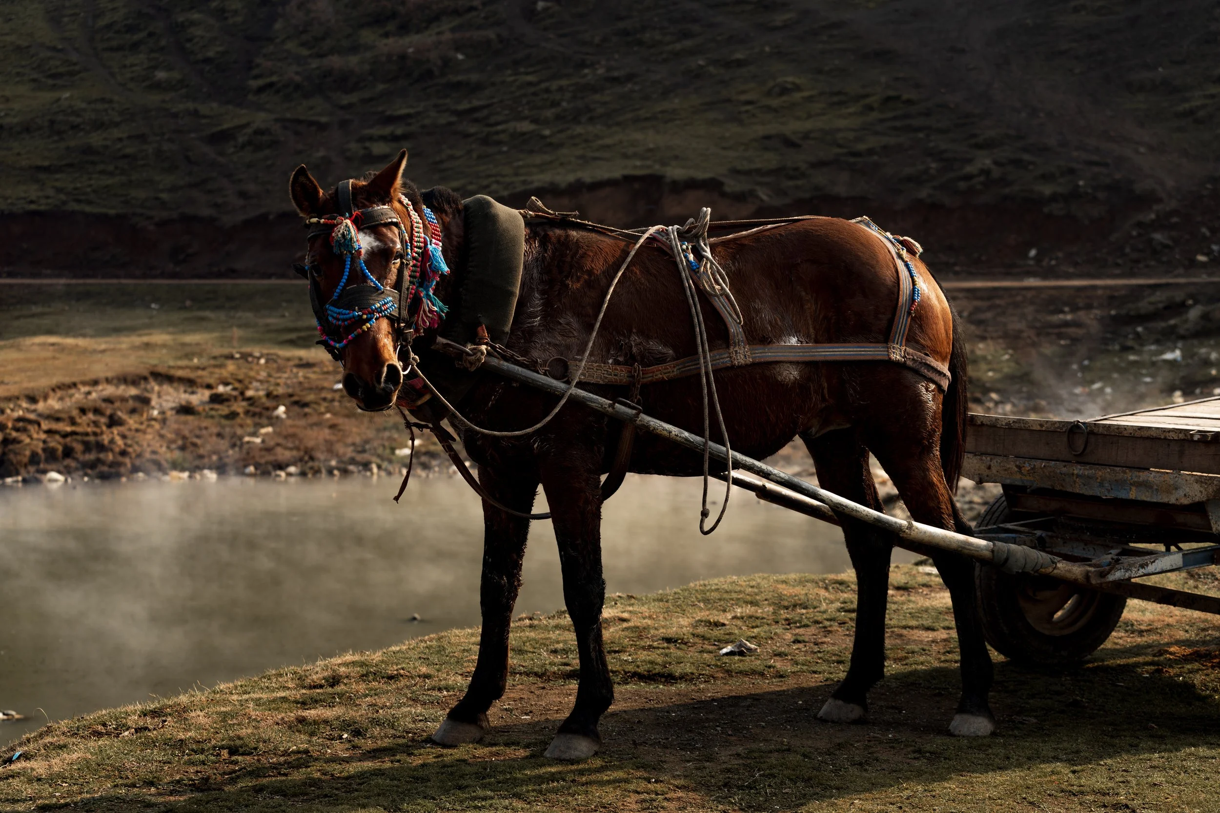 Budakli Germav Tepe kaplica hot spring water buffalo horse photography Bitlis Eastern Anatolia Türkiye Turkey