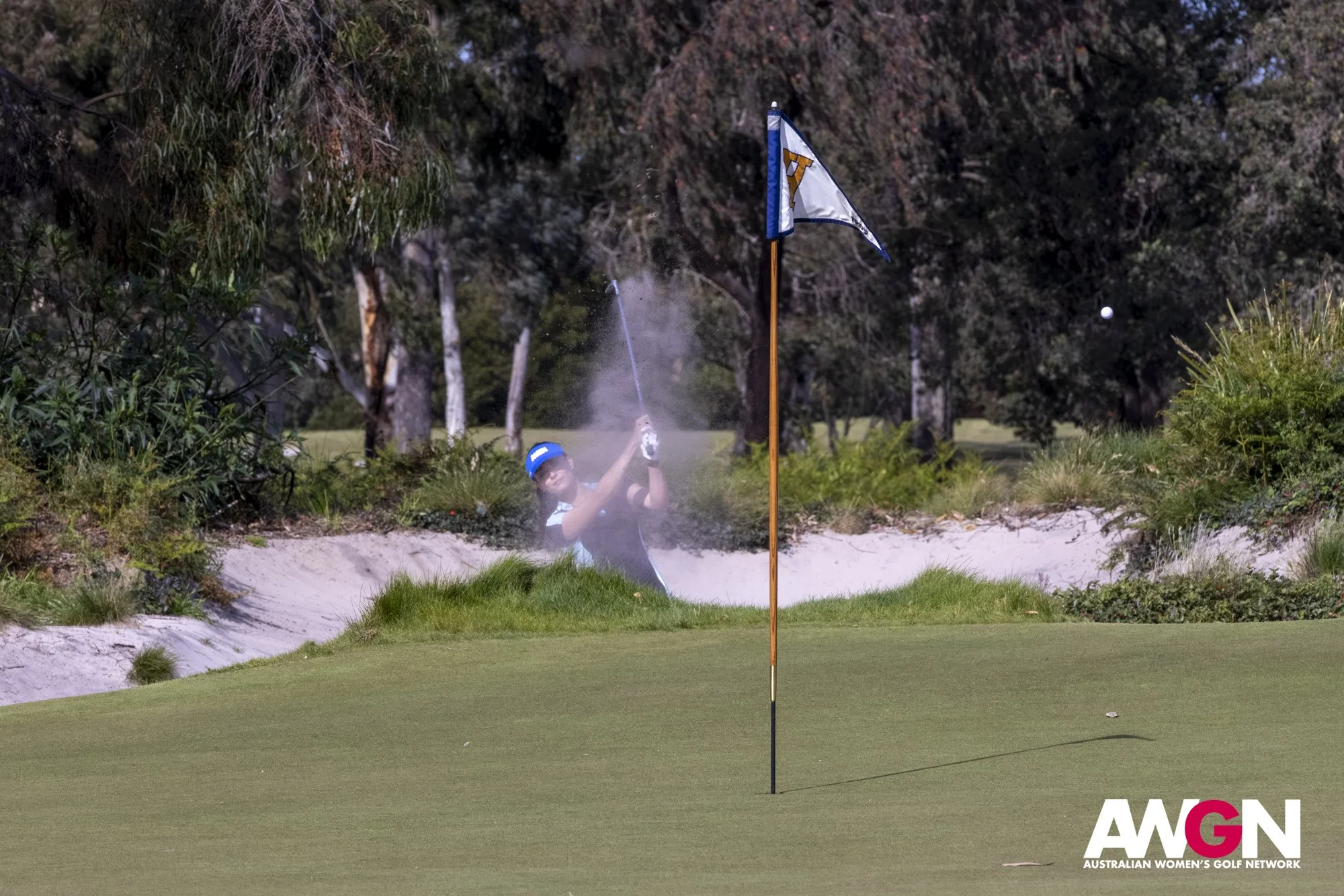 AWGN_Huntingdale_180926-48.jpg