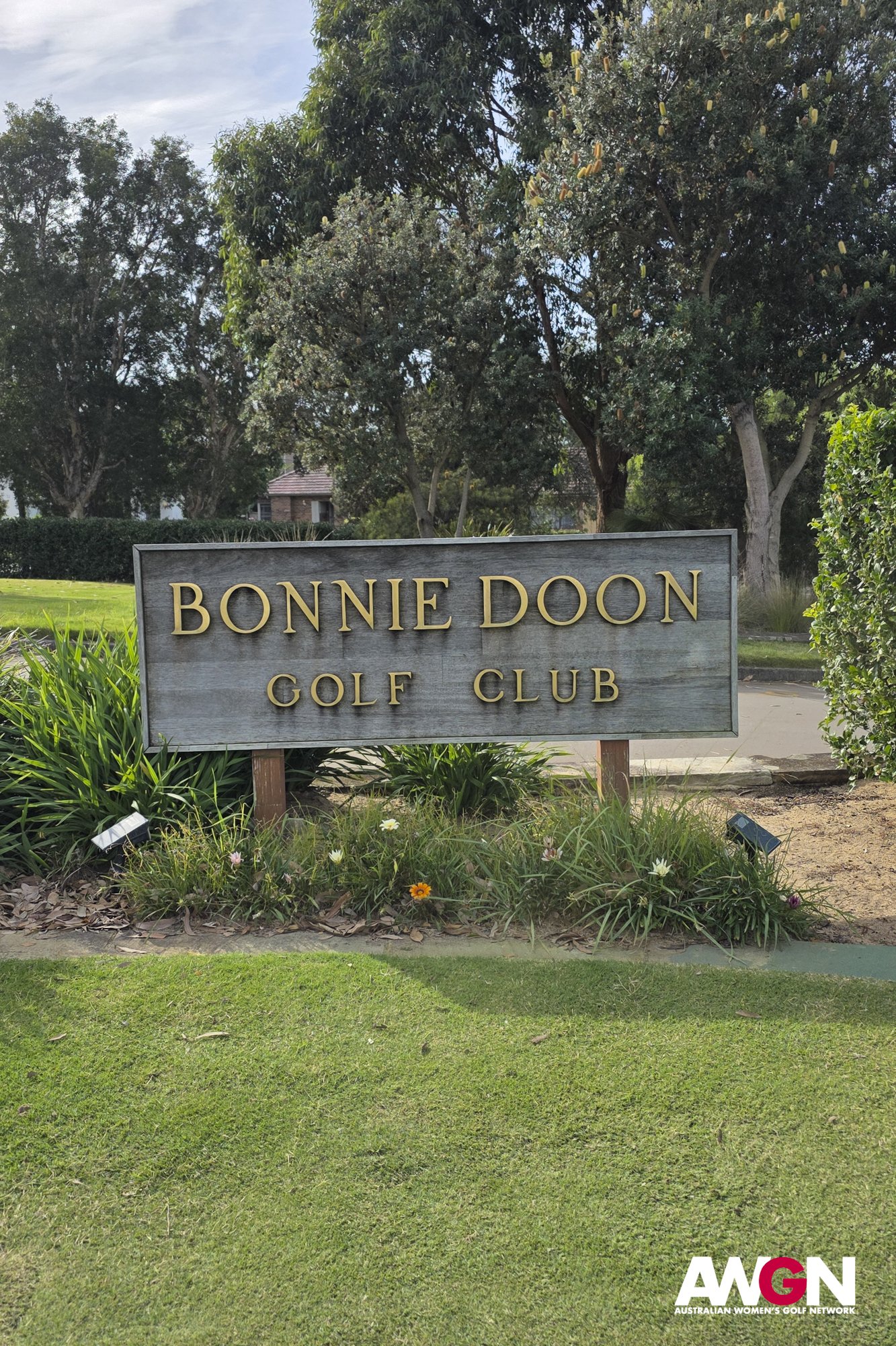 AWGN_GE129_030526-4.jpg