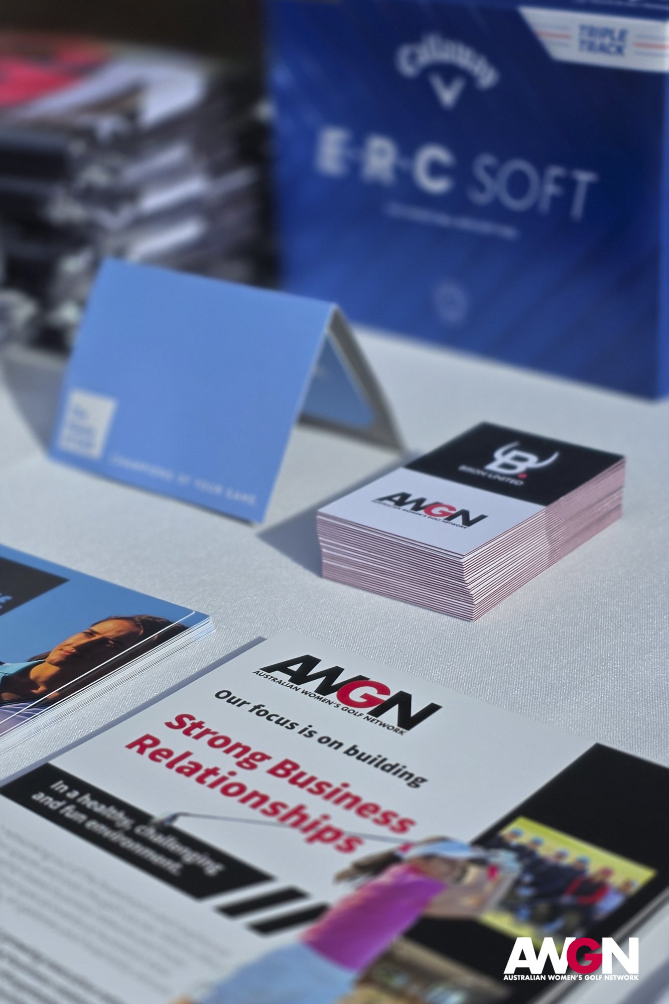 AWGN_GE129_030526-1.jpg