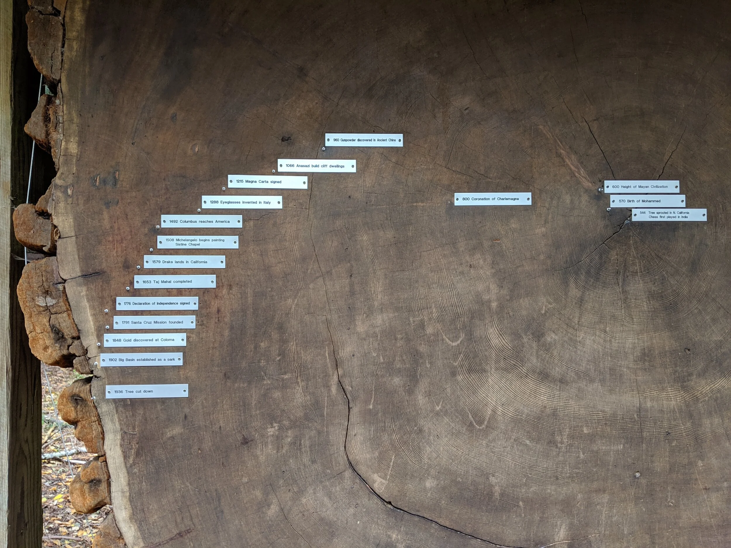 Our timeline for hiking was short due to the looming rain storm.