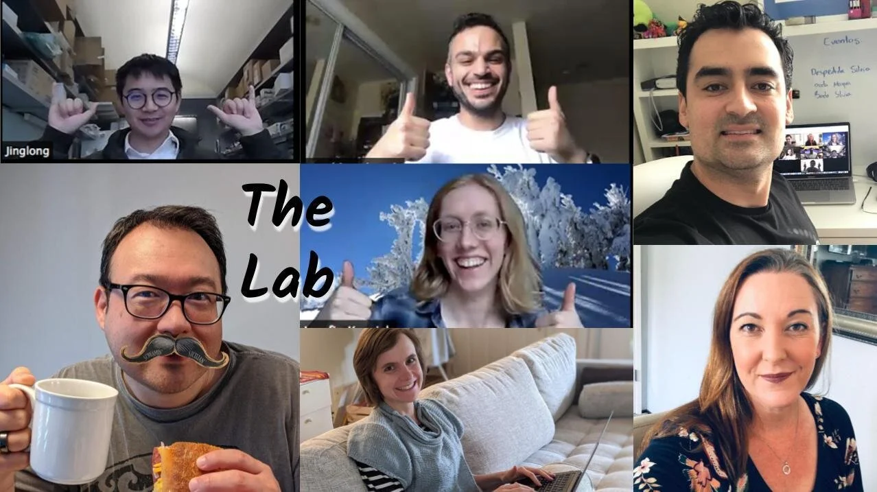 The virtual Frock Lab