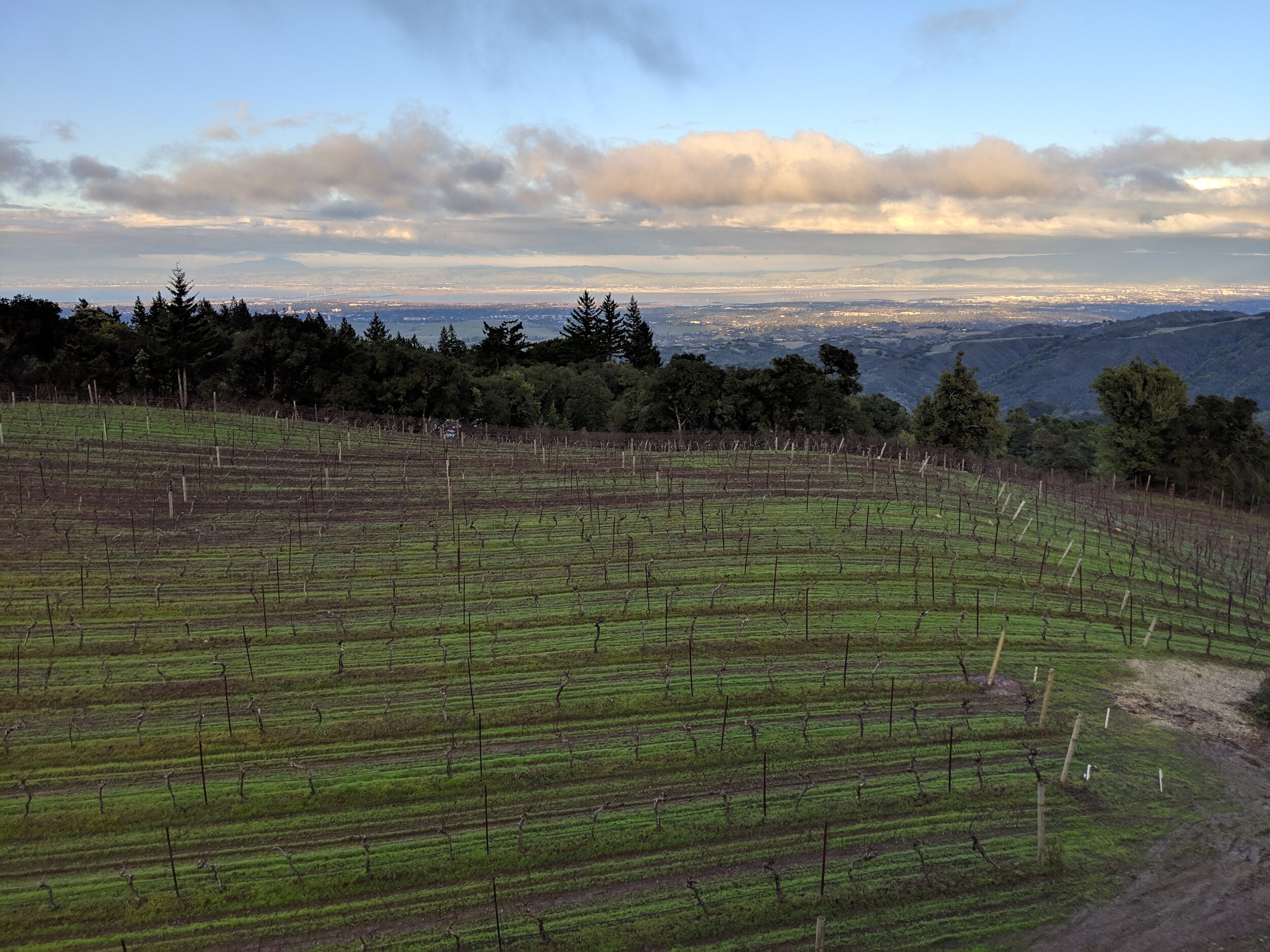 Just before THE Pandemic...