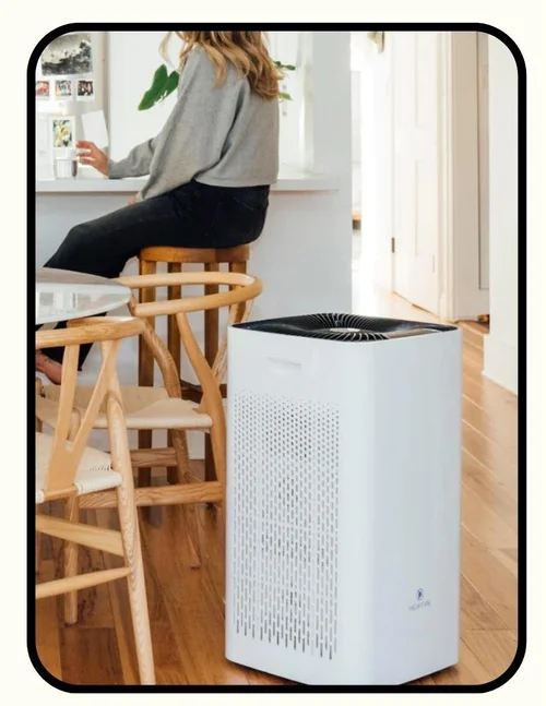 Medify MA-112 air purifier with H13 True HEPA filter and activated carbon pellets