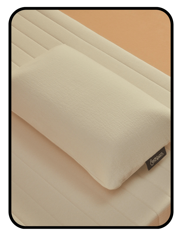 Earthfoam natural Talalay latex pillow with OEKO-TEX certified latex and GOTS organic cotton cover