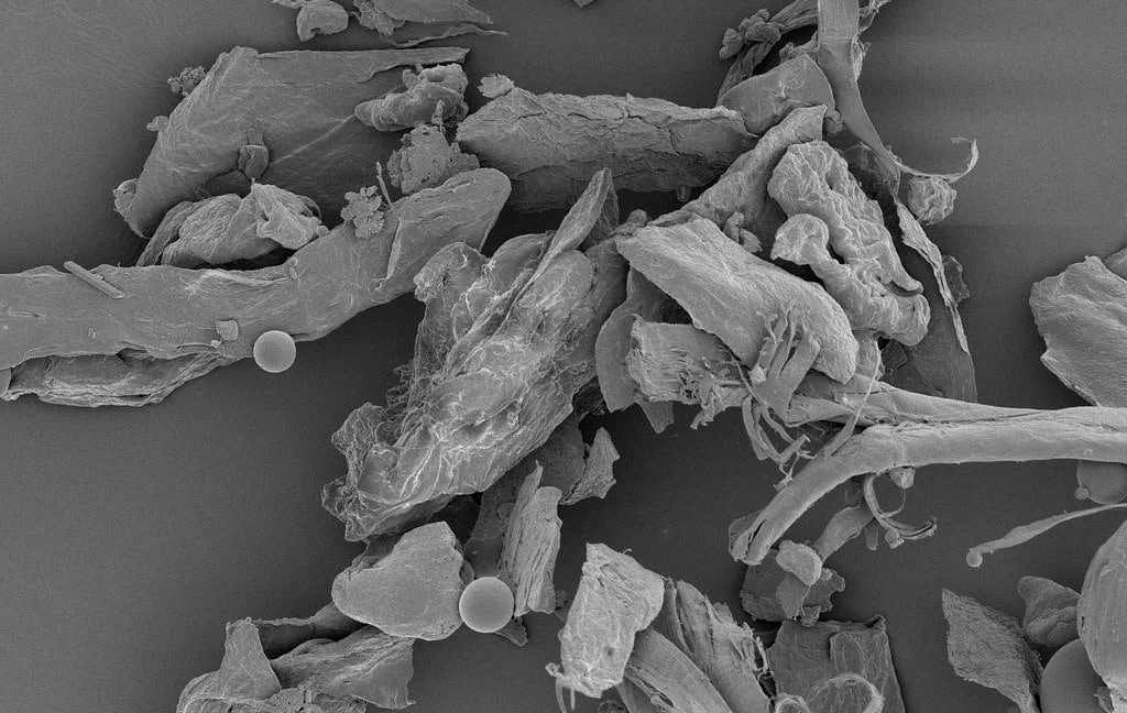Do Air Purifiers Really Help with Dust? What the Science Says