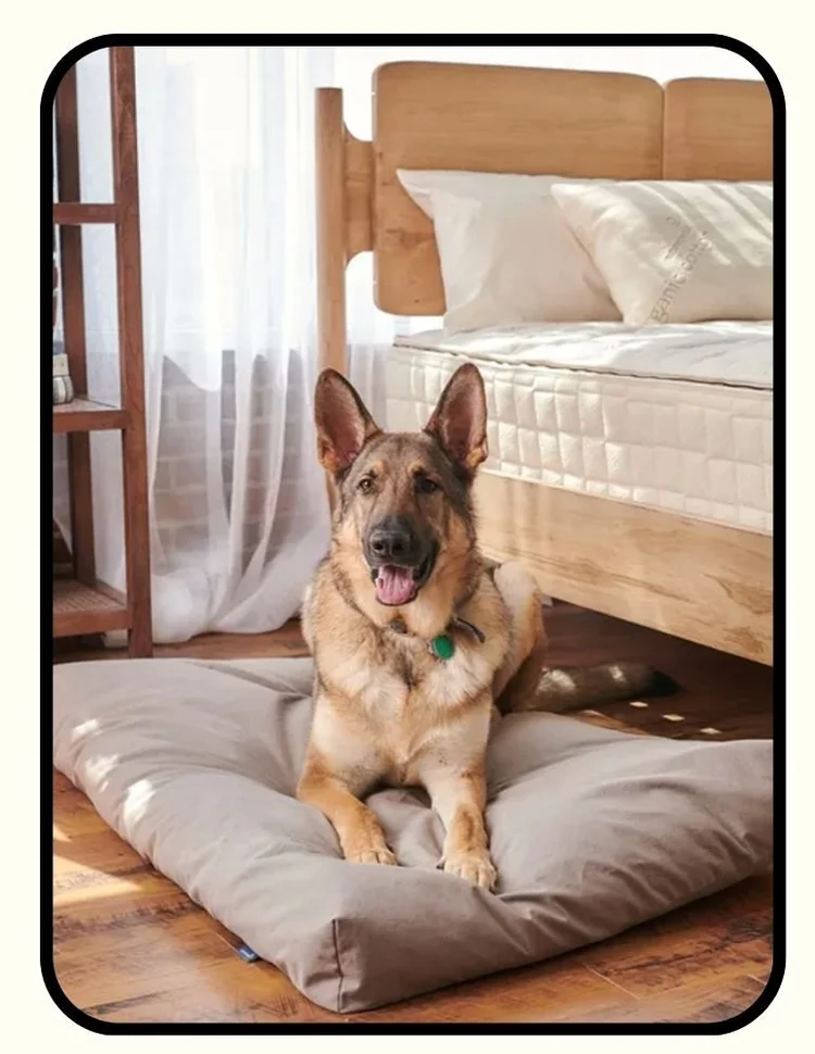 Naturepedic shredded latex dog bed with GOLS and FSC latex fill and GOTS organic cotton cover