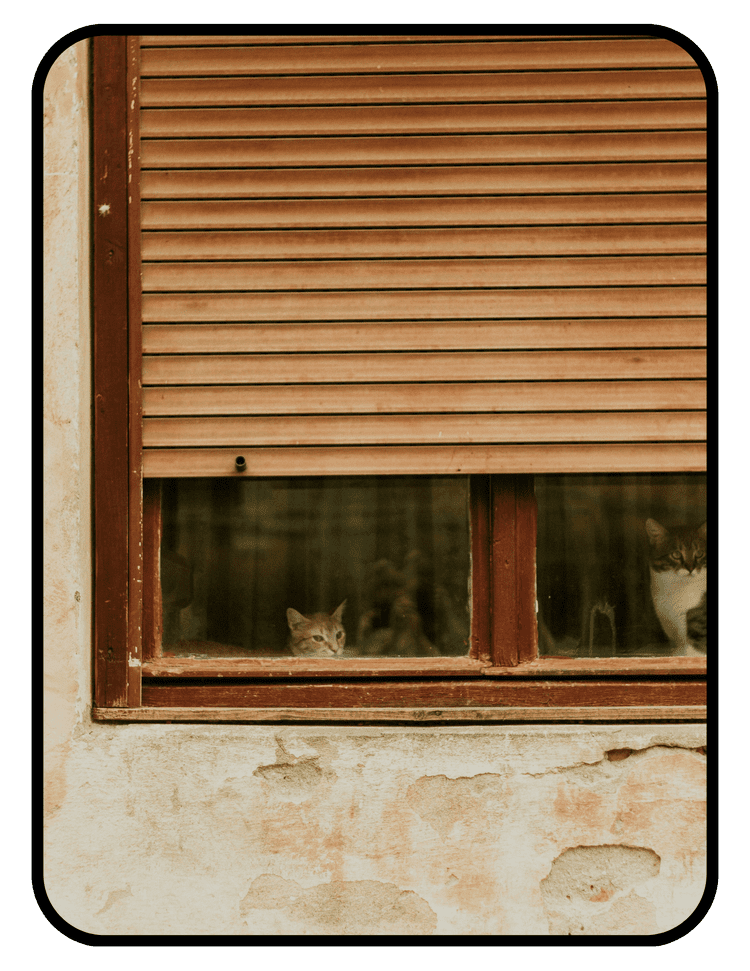 Earthshade organic blackout shade mounted in a window