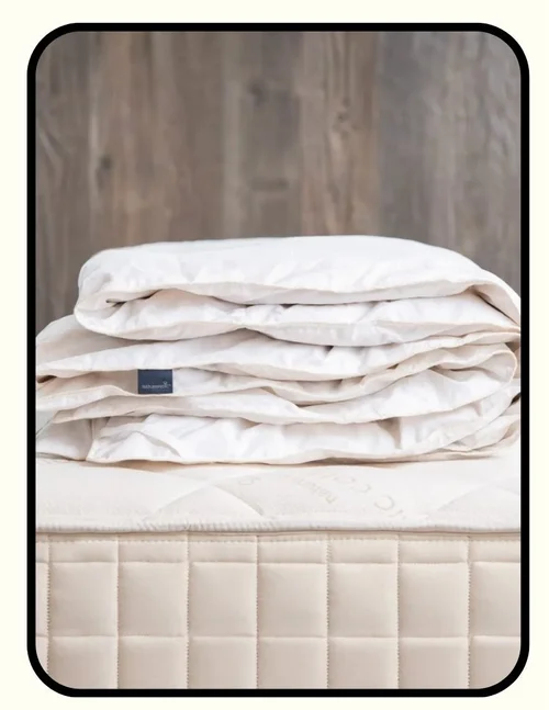 GOTS Organic Cotton Kapok Duvet Insert by Naturepedic