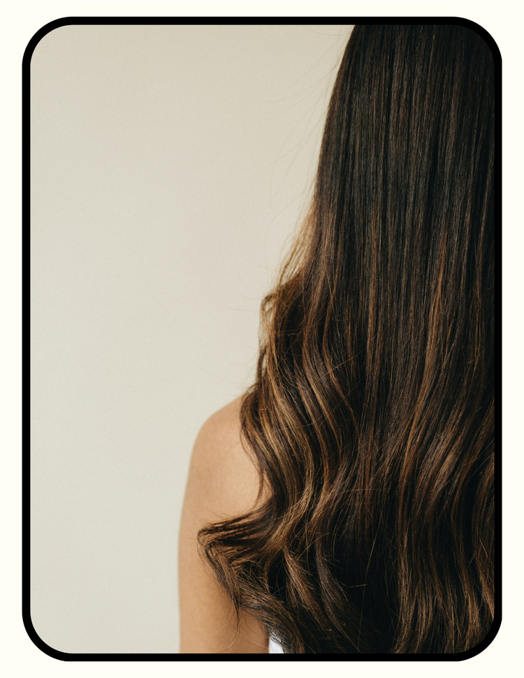 Low-plastic, low-fragrance hair care collection