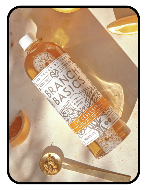 Branch Basics fragrance-free concentrate kitchen cleaning spray