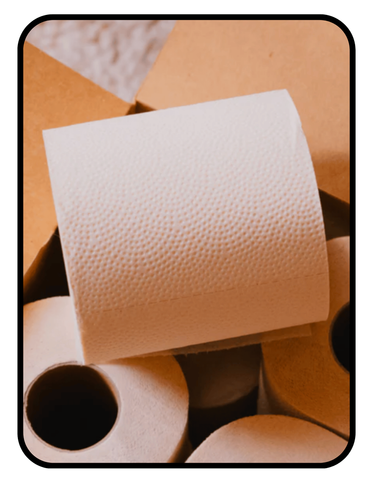 Plant Paper unbleached chlorine-free toilet paper