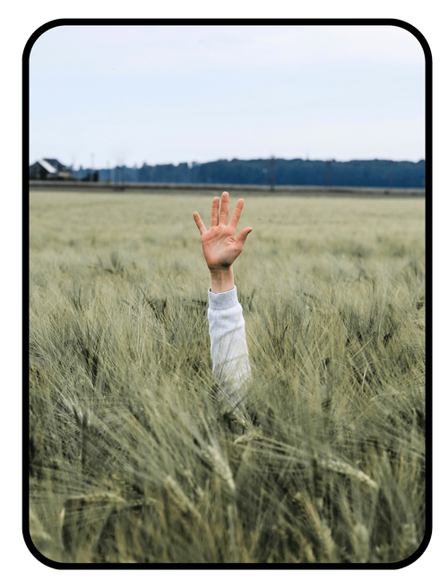 Request a non-toxic product review from Interior Medicine