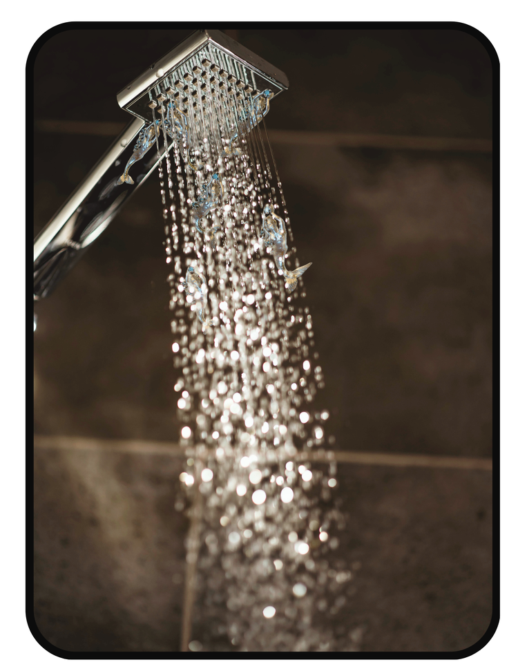 Korabeauticals Aquashield shower filter with KDF, carbon, and calcium sulfite media