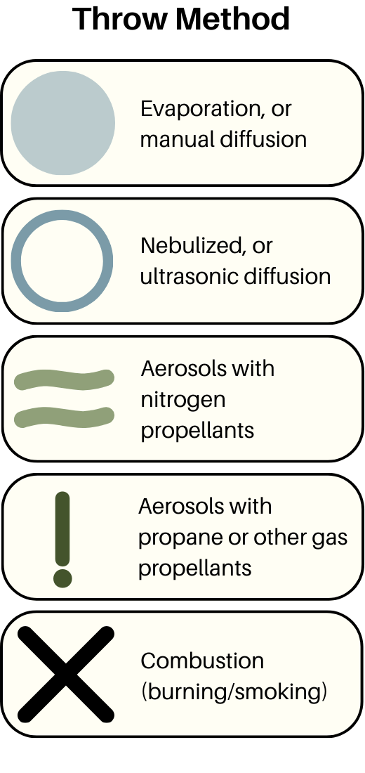 A Doctor's Guide to Finding NonToxic Home Fragrances 2024 — Interior