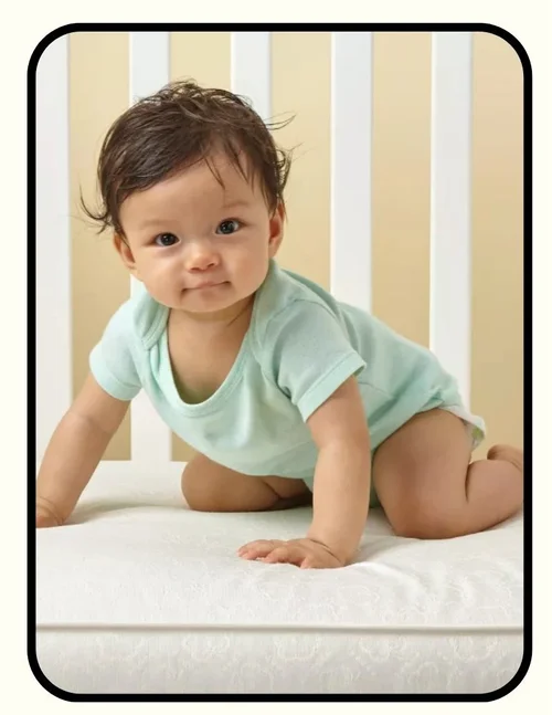 Sealy Nature&rsquo;s Haven innerspring crib mattress with cotton and polyester fabric, GreenGuard GOLD certified