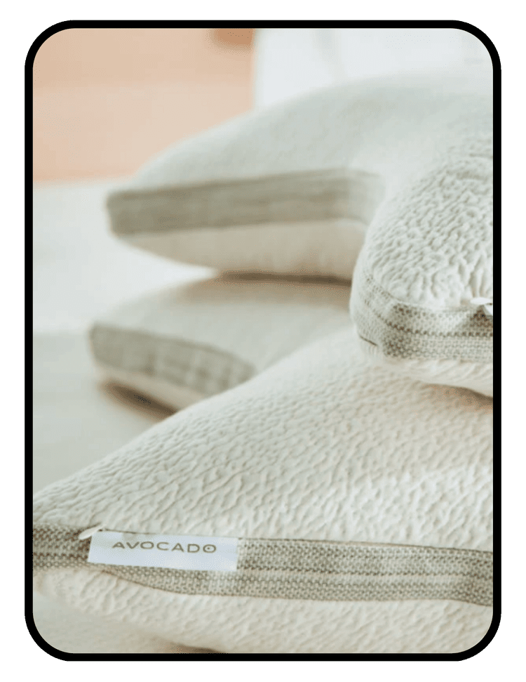 Avocado organic latex side sleeper pillow with GOLS organic latex and organic kapok fill in GOTS organic cotton
