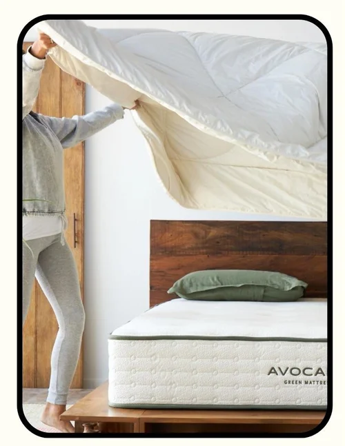 GOTS Organic Cotton Alpaca Wool Duvet Insert by Avocado
