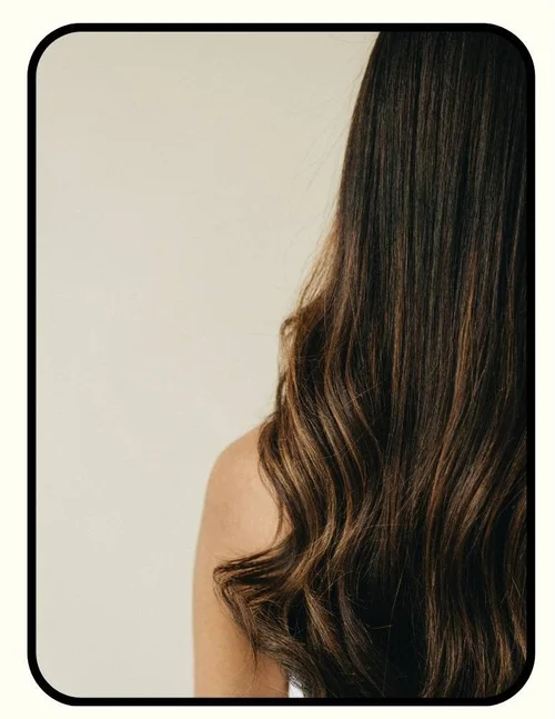 Low-plastic, low-fragrance hair care collection