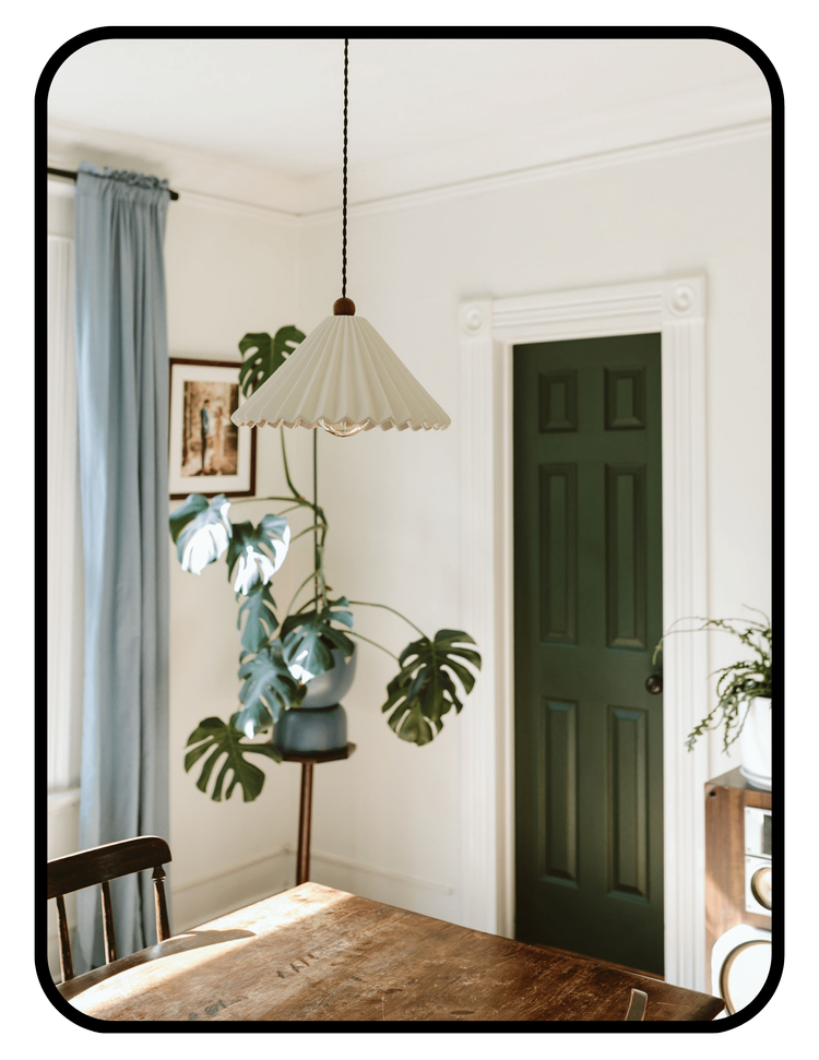 Picture of Interior Medicine | Shop Non-Toxic Interiors