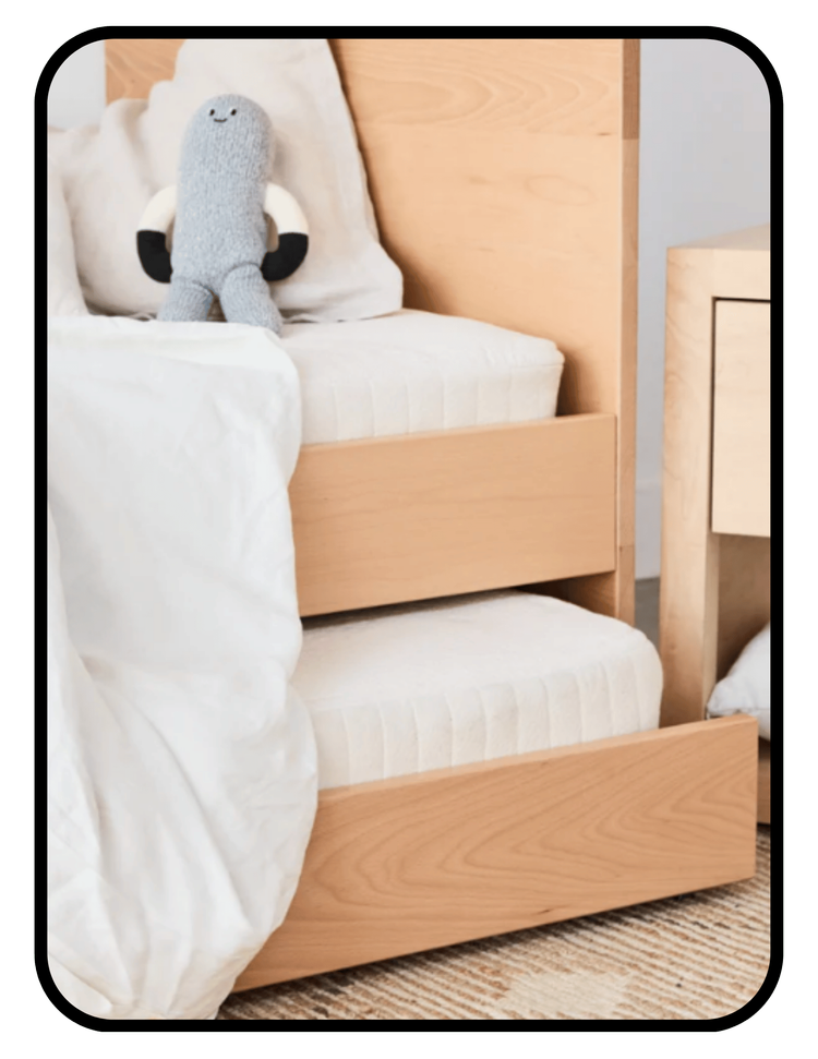Avocado solid wood non-toxic twin trundle bed frame with storage