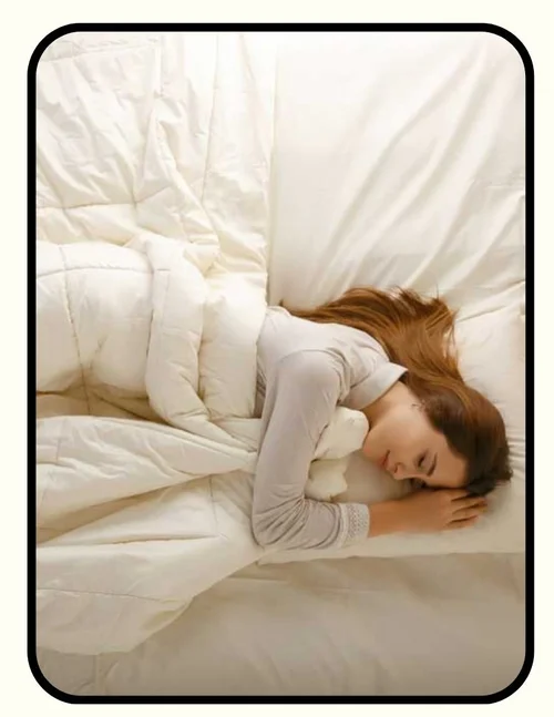 GOTS Organic Wool Duvet Insert by Sleep & Beyond