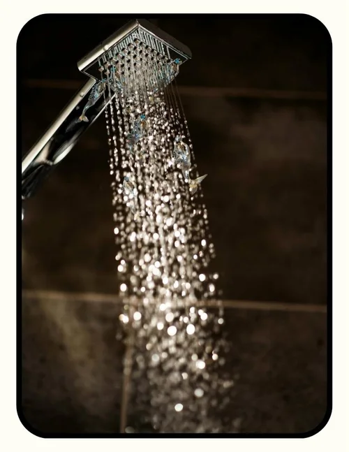 Crystal Quest handheld shower head filter combo