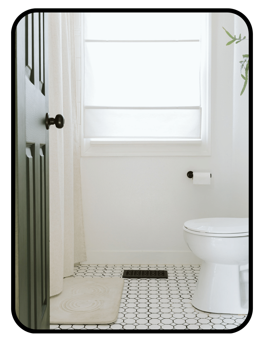 View of Interior Medicine | Shop Non-Toxic Interiors