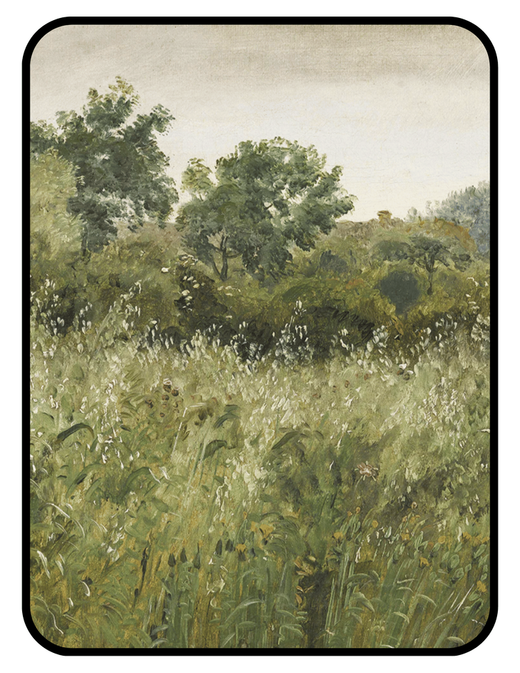 Vintage-style heirloom nature print art displayed in the living room