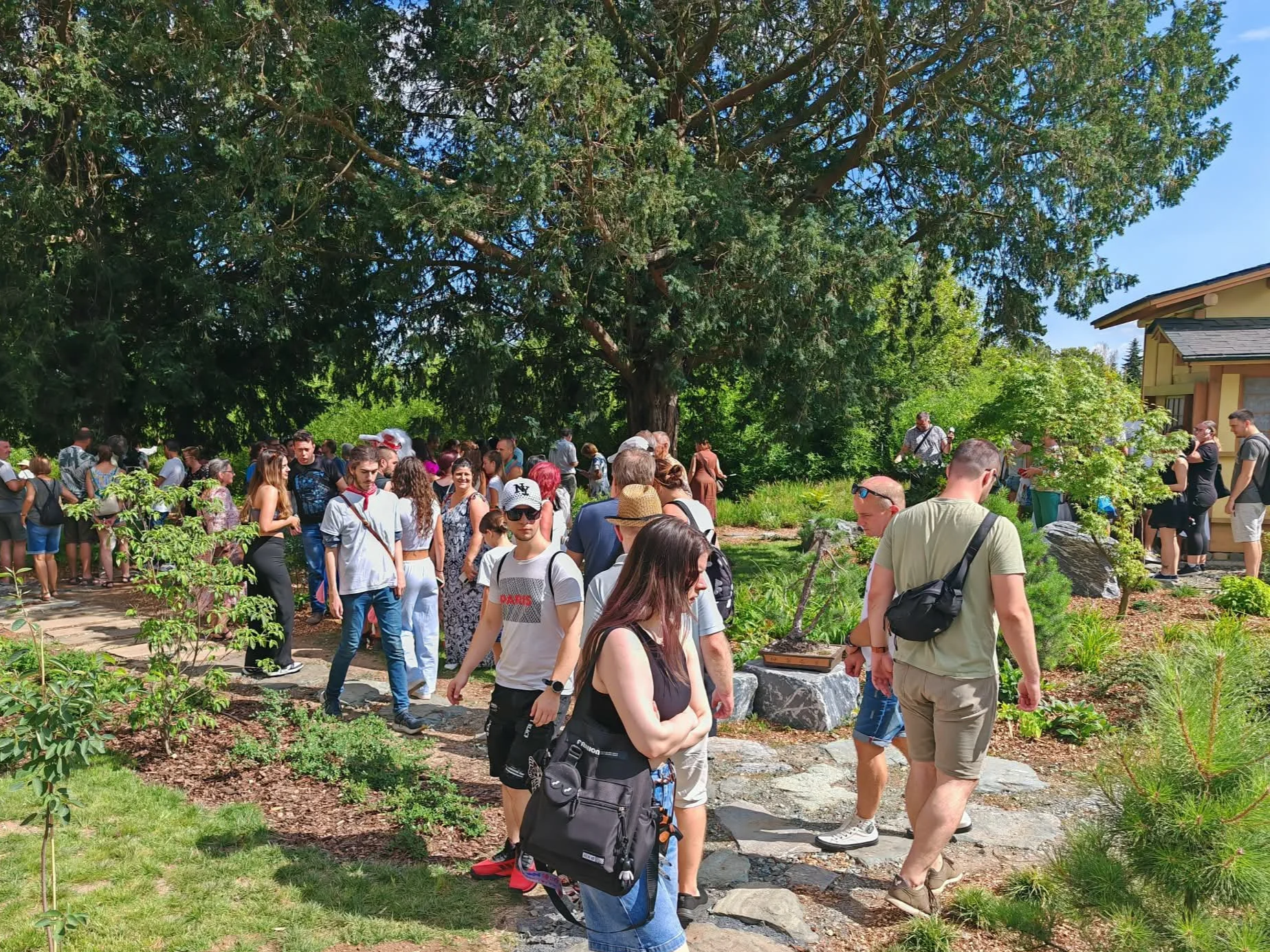 Tanabata Festival at the Japanese Garden in Szombathely