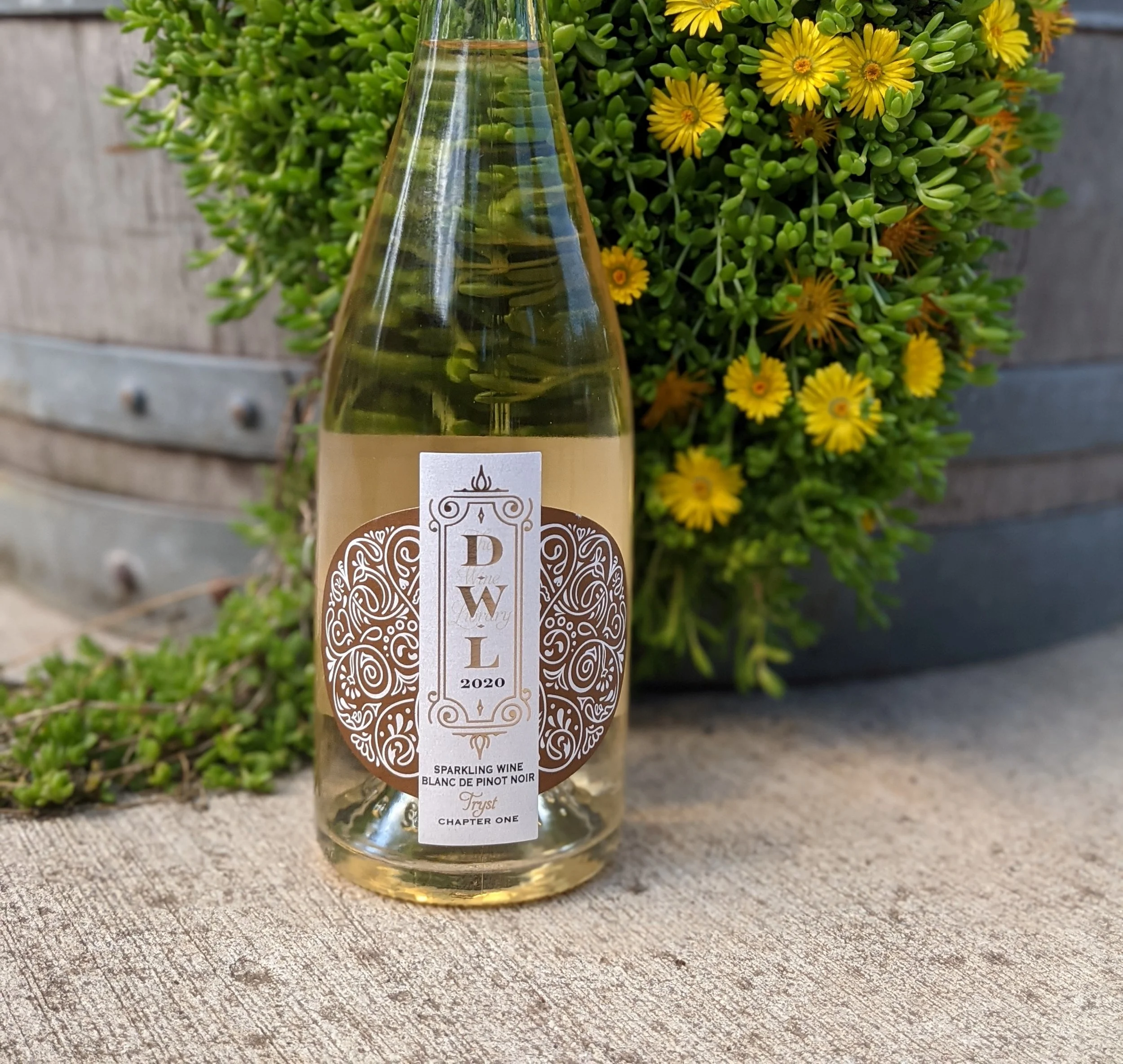 Events at the Dundee Wine Library — Dundee Wine Library