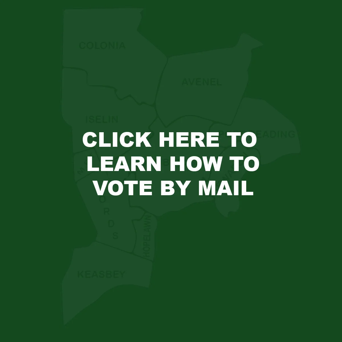 find your polling place .jpg