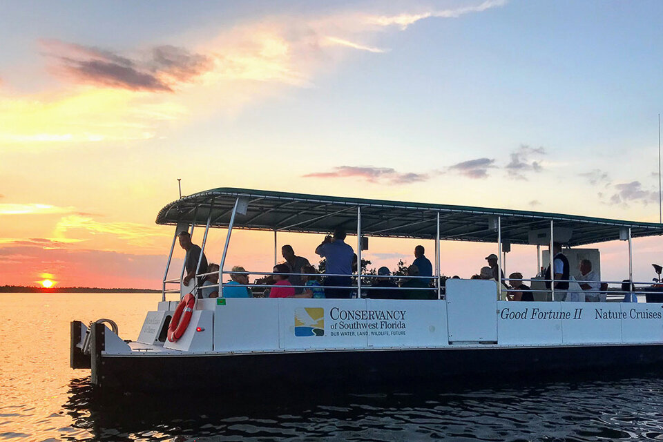 sightseeing boat tours naples fl