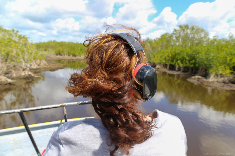 everglade tours near naples florida