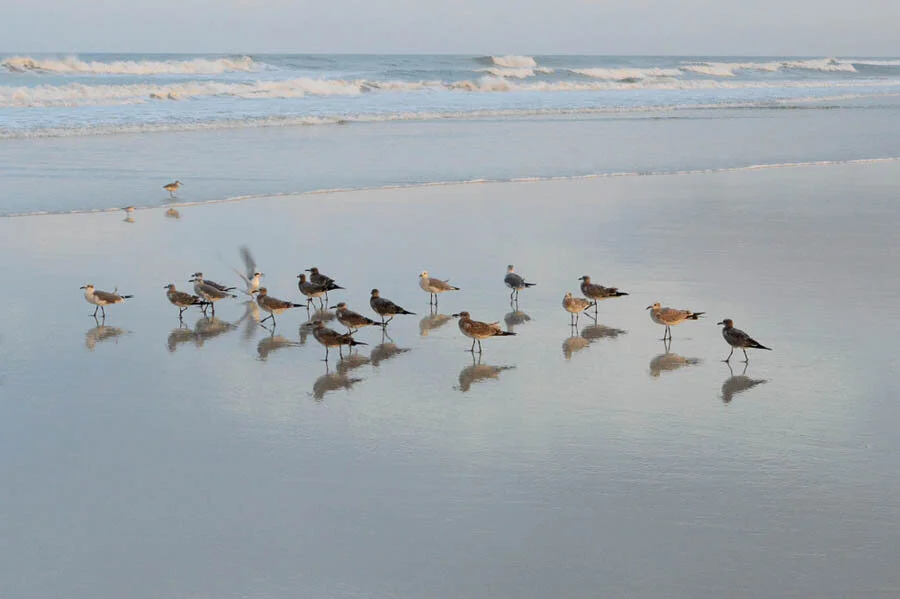 The 10 Best Fort Myers Beaches To Visit This Year! - ALWAYS ON THE SHORE