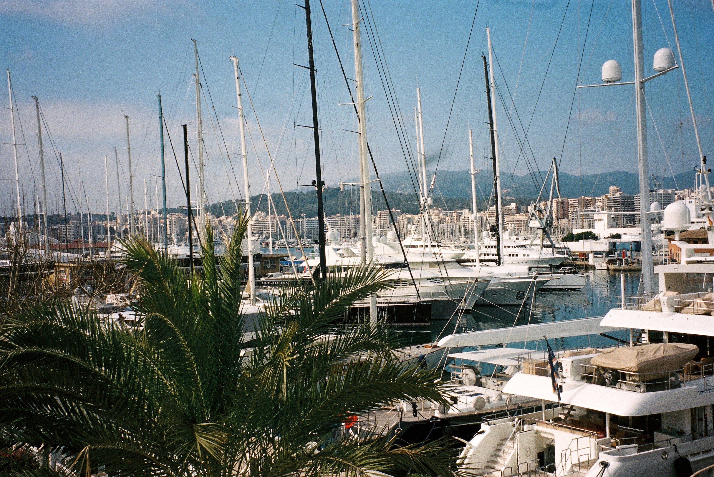 scan-4.jpg
