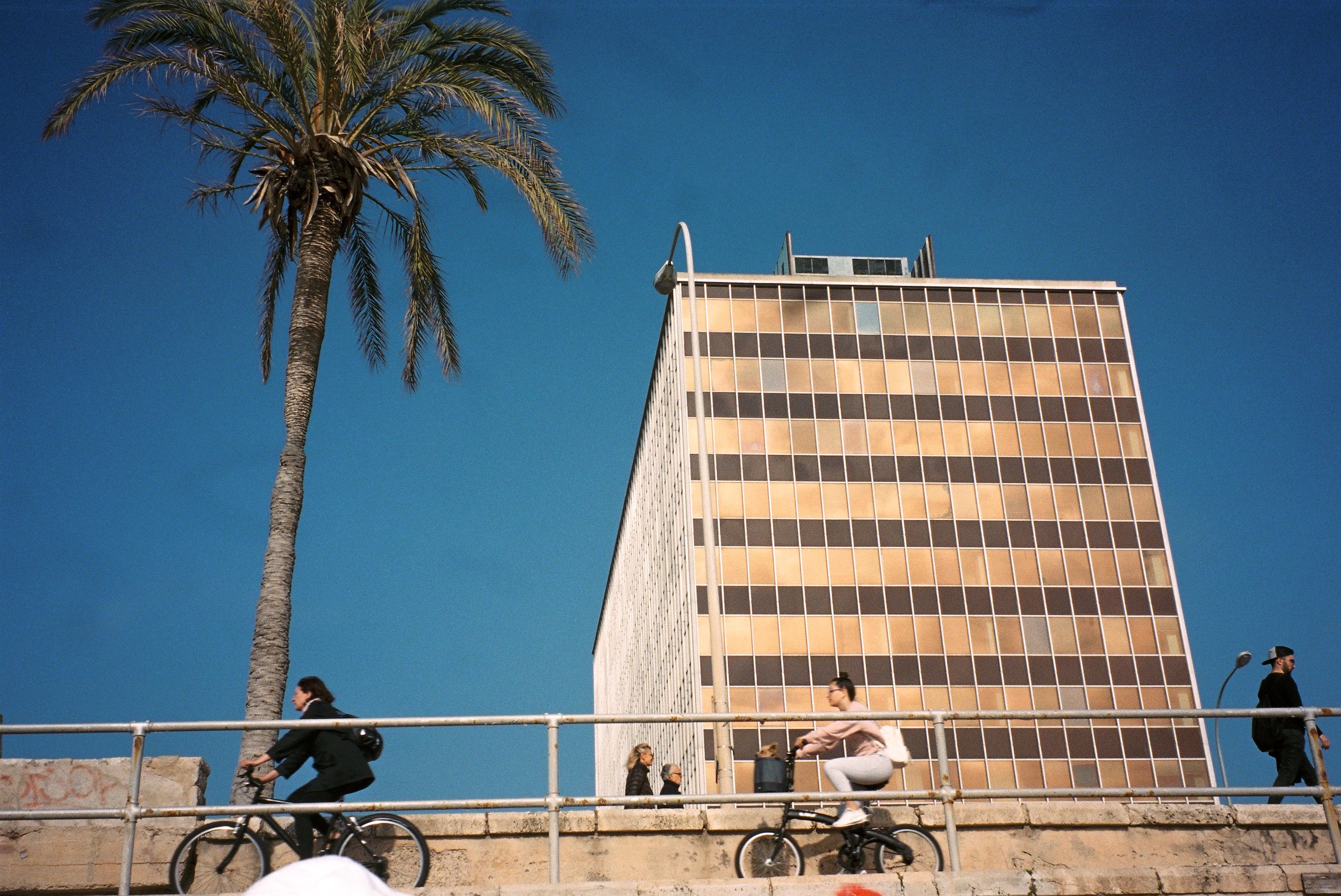 scan-11.jpg