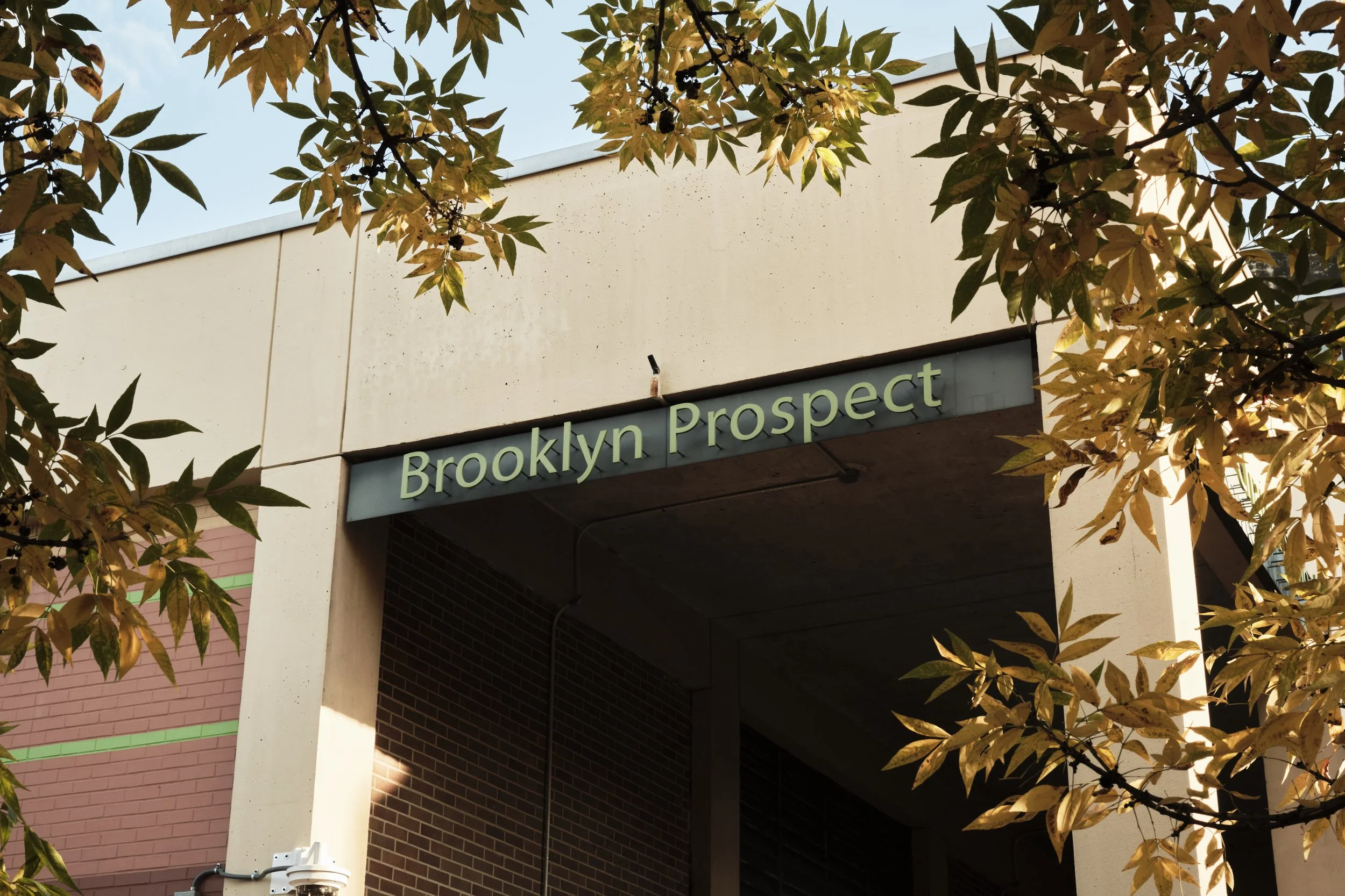 BPHS_9.jpg