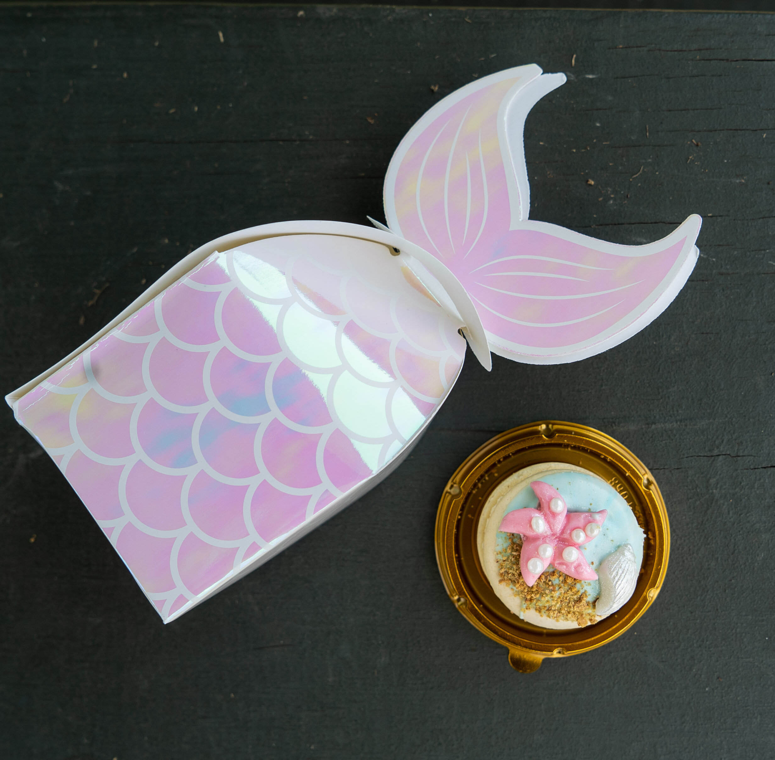 Copy of Ocean Box Pop Up 15.jpg