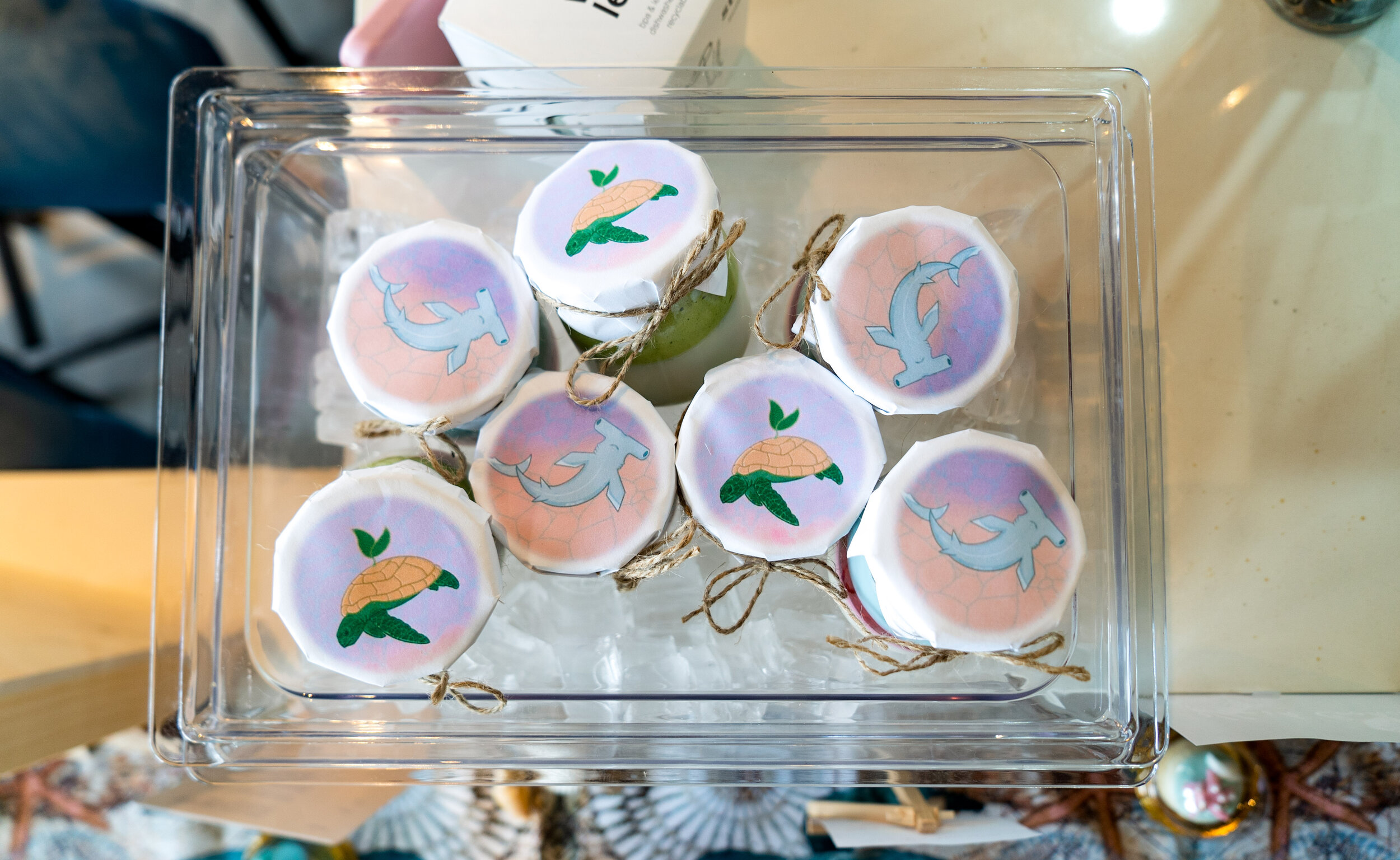 Copy of Ocean Box Pop Up 10.jpg