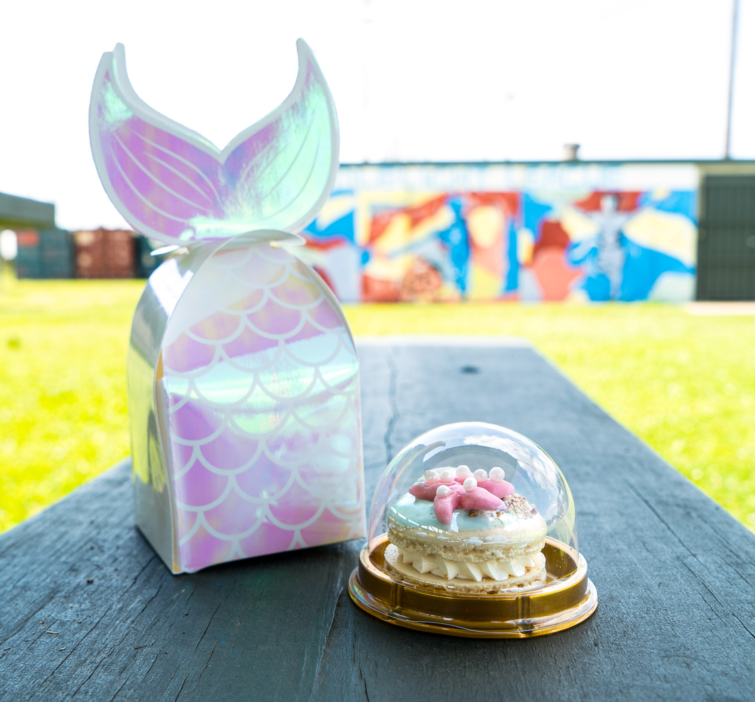 Copy of Ocean Box Pop Up 12.jpg