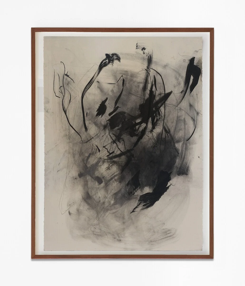 Untitled (In Flight) #2