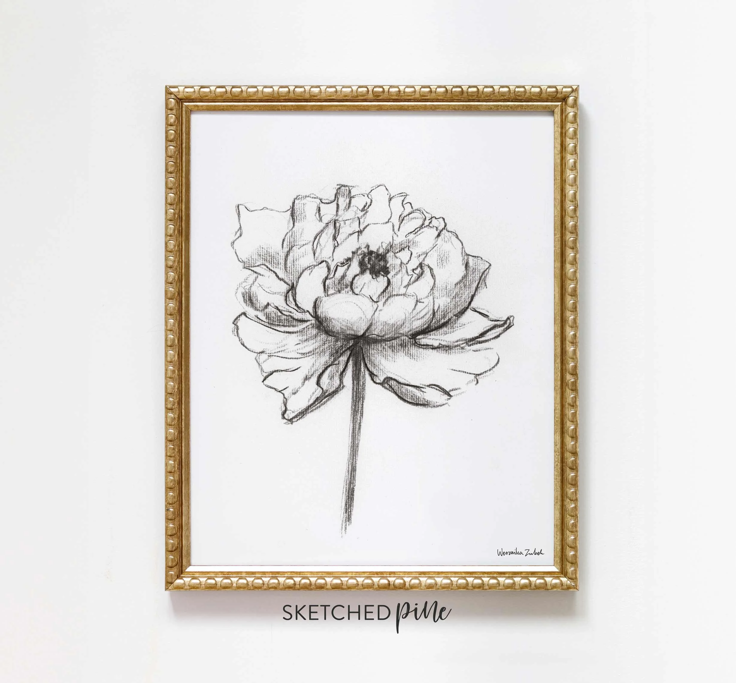 Black and white charcoal peony flower art print — Weronika Zubek