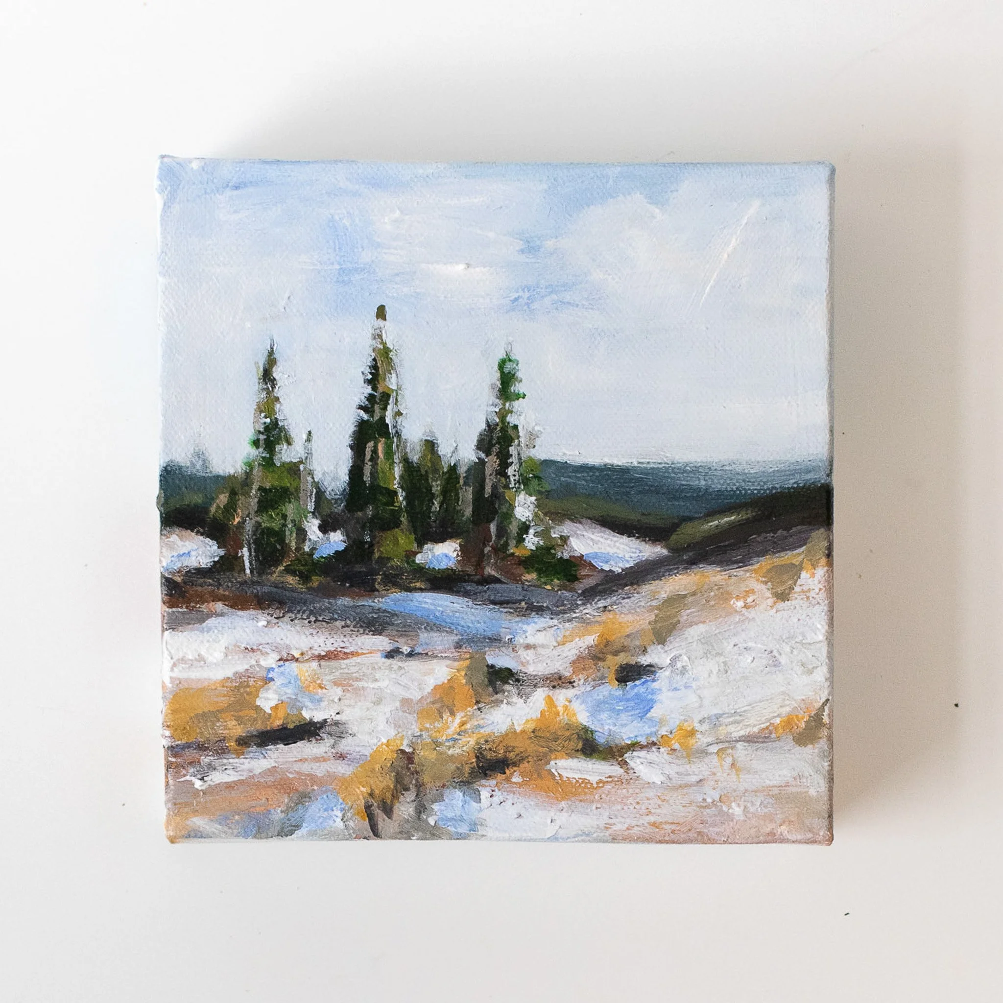 “Snow Shadows” 6x6