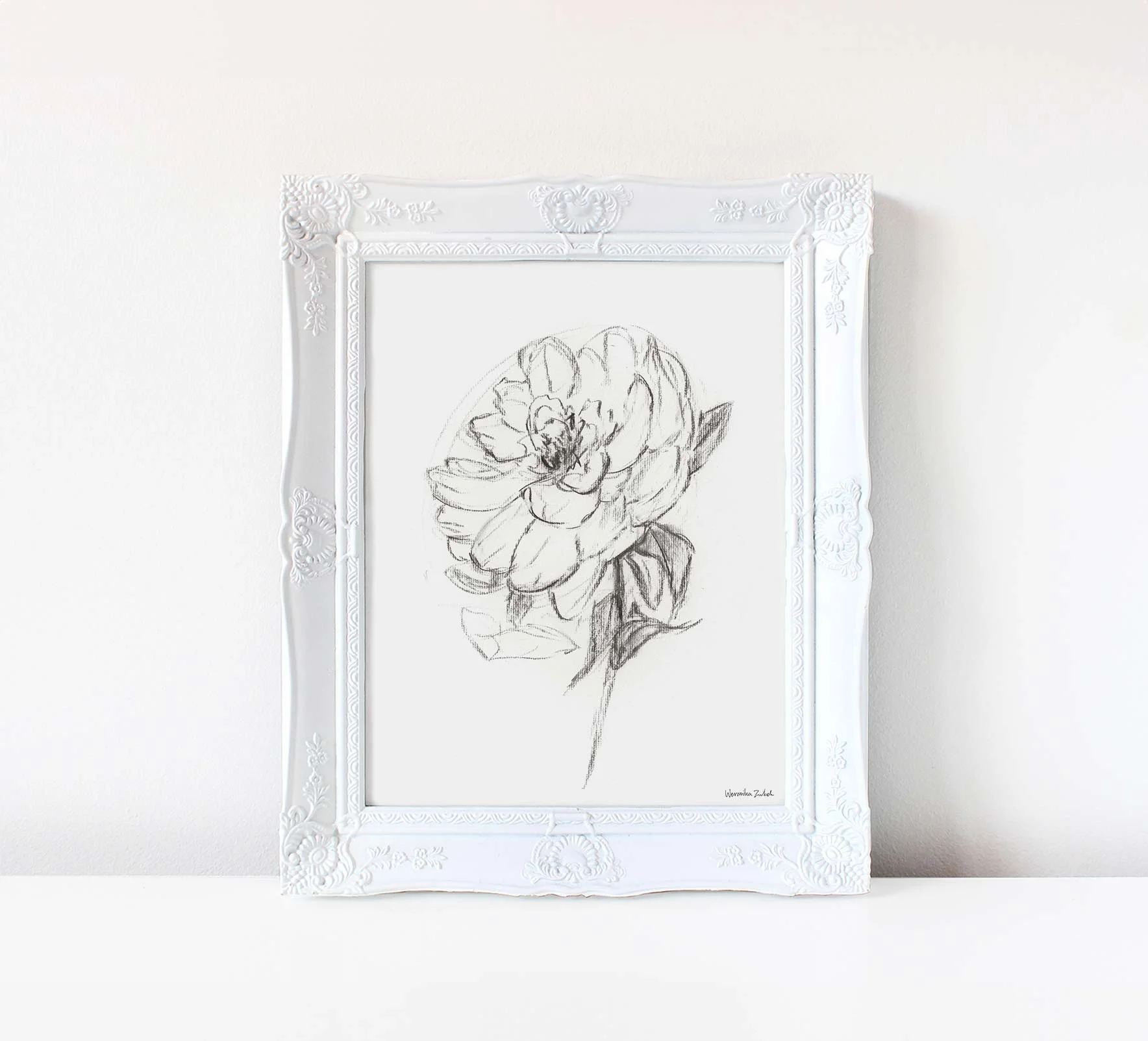 Black and white charcoal peony flower art print — Weronika Zubek