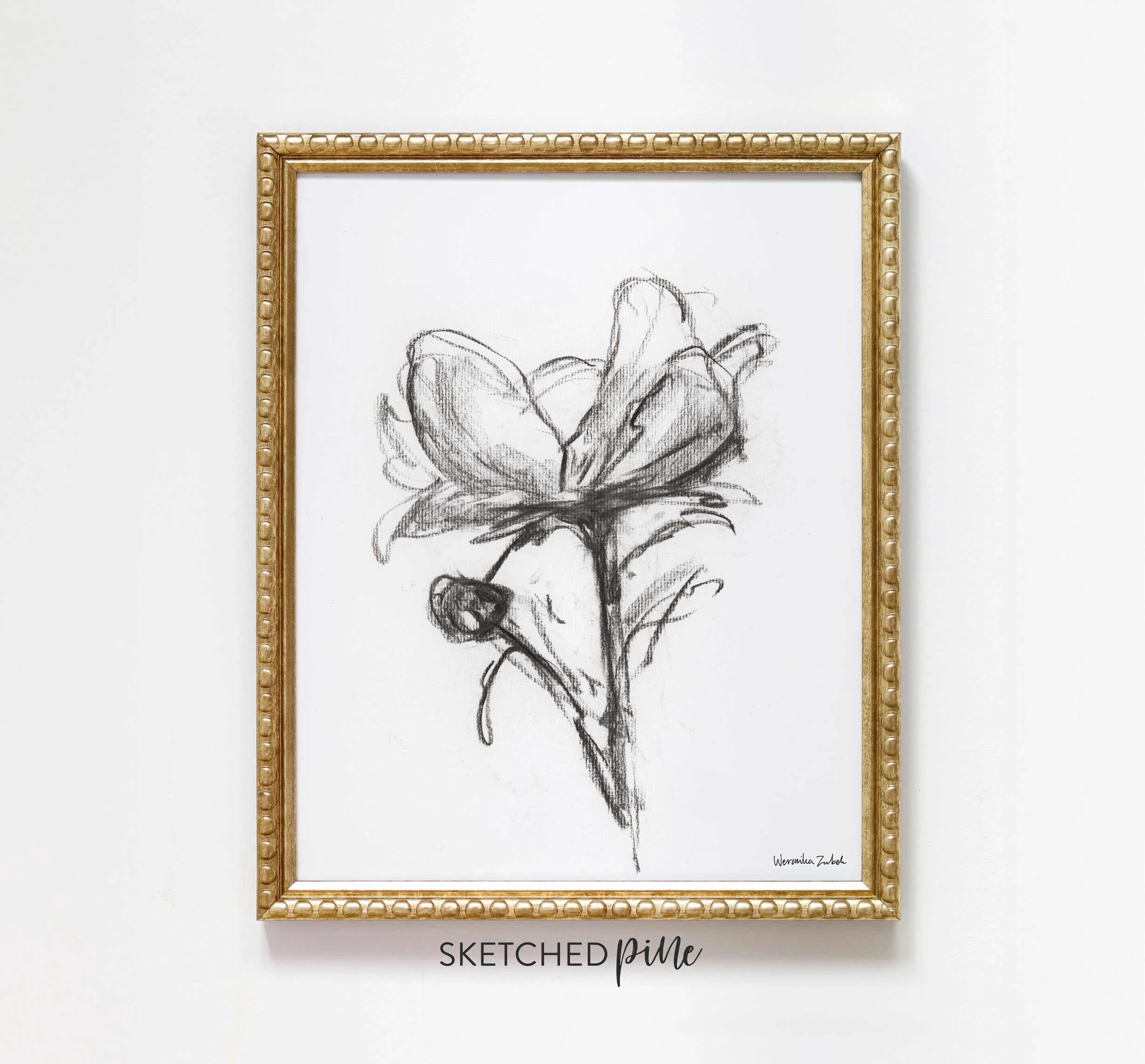 Black and white charcoal peony flower art print — Weronika Zubek